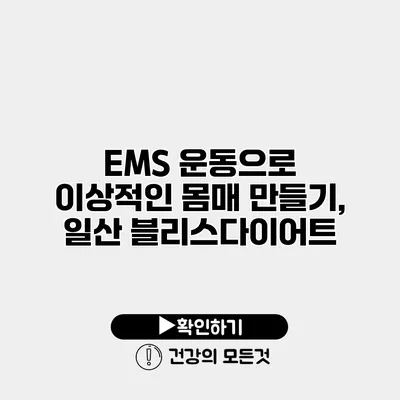 EMS 운동으로 이상적인 몸매 만들기, 일산 블리스다이어트