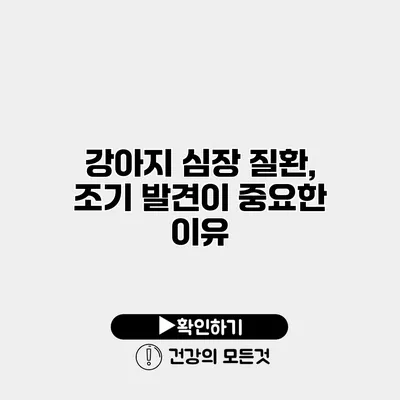 강아지 심장 질환, 조기 발견이 중요한 이유