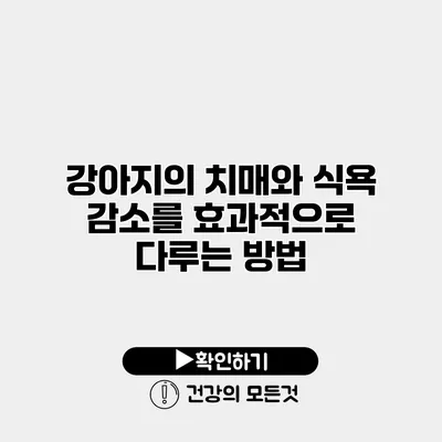 강아지의 치매와 식욕 감소를 효과적으로 다루는 방법