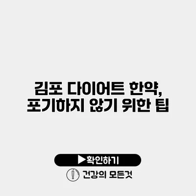 김포 다이어트 한약, 포기하지 않기 위한 팁