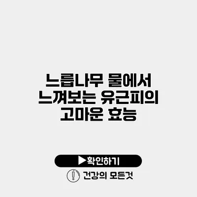 느릅나무 물에서 느껴보는 유근피의 고마운 효능