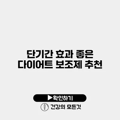 단기간 효과 좋은 다이어트 보조제 추천