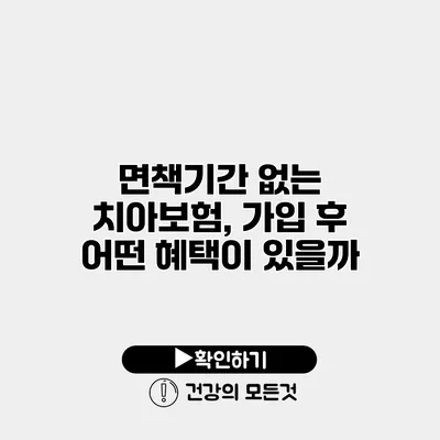 면책기간 없는 치아보험, 가입 후 어떤 혜택이 있을까?