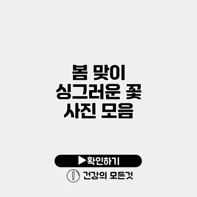 봄 맞이 싱그러운 꽃 사진 모음