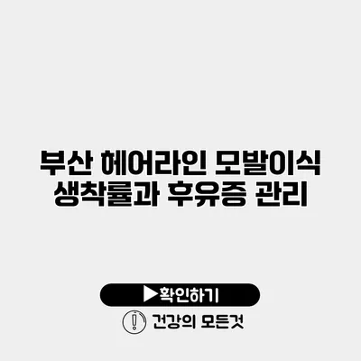 부산 헤어라인 모발이식 생착률과 후유증 관리