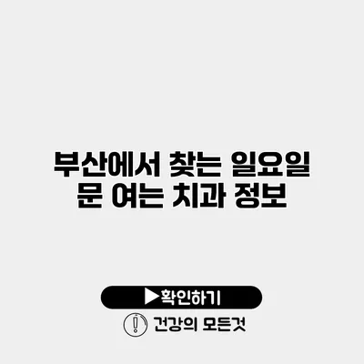 부산에서 찾는 일요일 문 여는 치과 정보