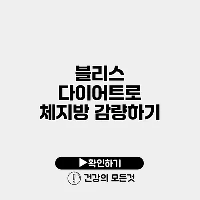 블리스 다이어트로 체지방 감량하기