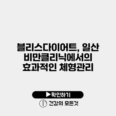 블리스다이어트, 일산 비만클리닉에서의 효과적인 체형관리