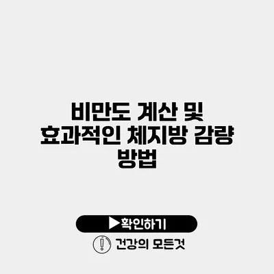 비만도 계산 및 효과적인 체지방 감량 방법
