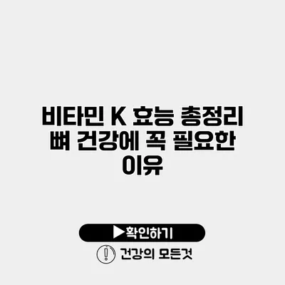 비타민 K 효능 총정리 뼈 건강에 꼭 필요한 이유
