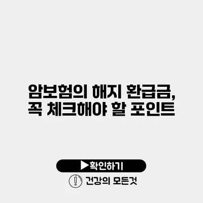 암보험의 해지 환급금, 꼭 체크해야 할 포인트
