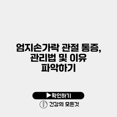 엄지손가락 관절 통증, 관리법 및 이유 파악하기