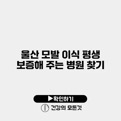 울산 모발 이식 평생 보증해 주는 병원 찾기