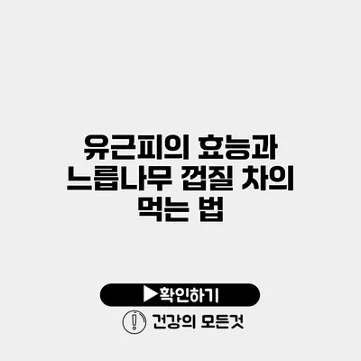 유근피의 효능과 느릅나무 껍질 차의 먹는 법