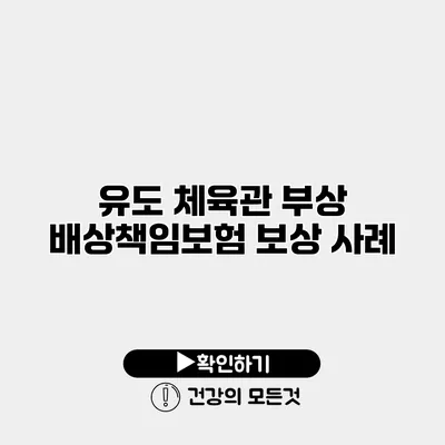유도 체육관 부상 배상책임보험 보상 사례