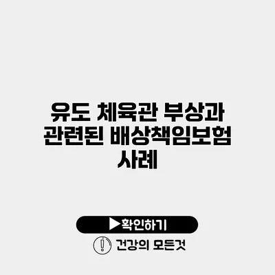 유도 체육관 부상과 관련된 배상책임보험 사례