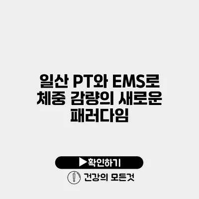 일산 PT와 EMS로 체중 감량의 새로운 패러다임