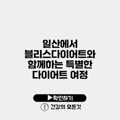 일산에서 블리스다이어트와 함께하는 특별한 다이어트 여정