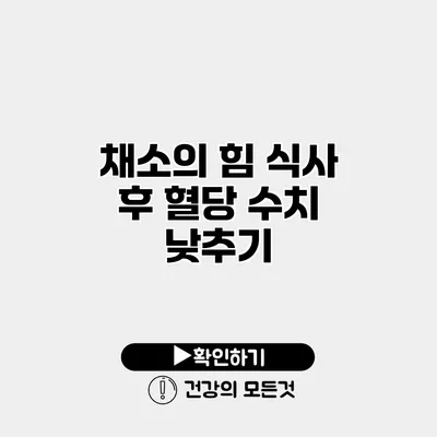 채소의 힘 식사 후 혈당 수치 낮추기