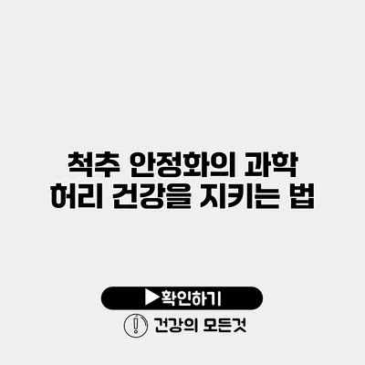 척추 안정화의 과학 허리 건강을 지키는 법