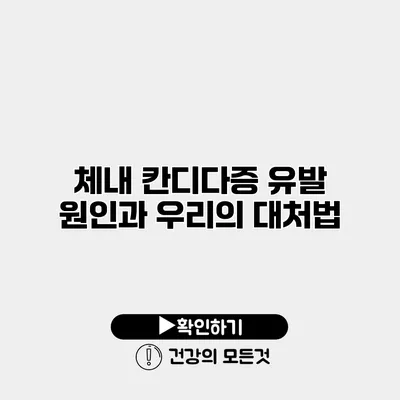 체내 칸디다증 유발 원인과 우리의 대처법
