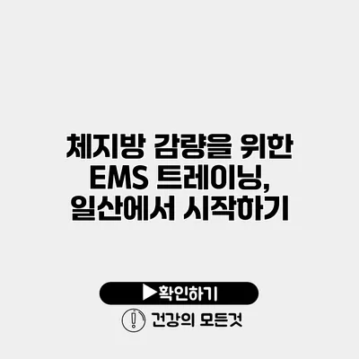 체지방 감량을 위한 EMS 트레이닝, 일산에서 시작하기
