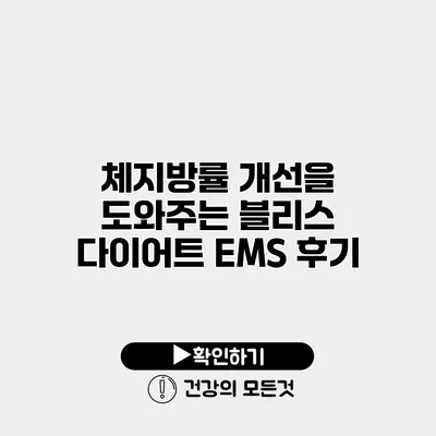 체지방률 개선을 도와주는 블리스 다이어트 EMS 후기