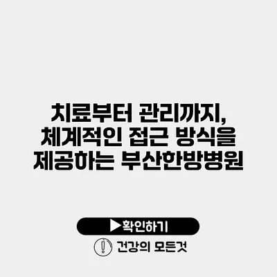 치료부터 관리까지, 체계적인 접근 방식을 제공하는 부산한방병원