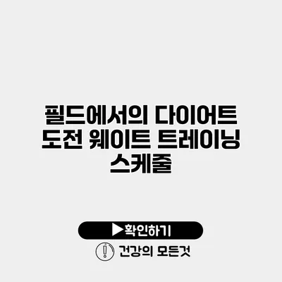 필드에서의 다이어트 도전 웨이트 트레이닝 스케줄