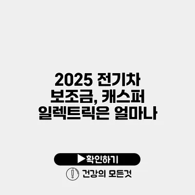 2025 전기차 보조금, 캐스퍼 일렉트릭은 얼마나?