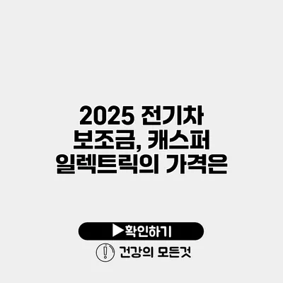 2025 전기차 보조금, 캐스퍼 일렉트릭의 가격은?