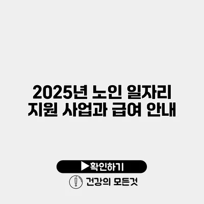 2025년 노인 일자리 지원 사업과 급여 안내