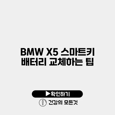 BMW X5 스마트키 배터리 교체하는 팁