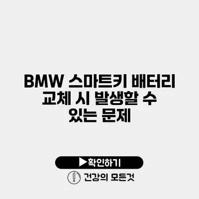 BMW 스마트키 배터리 교체 시 발생할 수 있는 문제