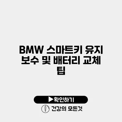 BMW 스마트키 유지 보수 및 배터리 교체 팁