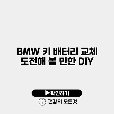BMW 키 배터리 교체 도전해 볼 만한 DIY