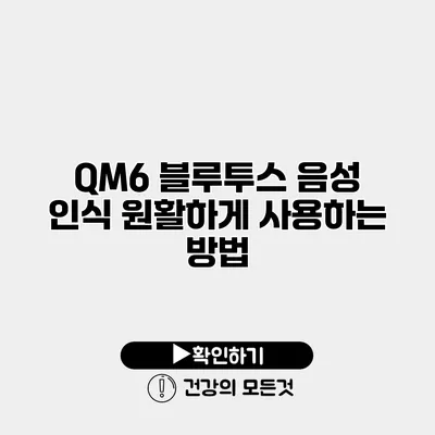QM6 블루투스 음성 인식 원활하게 사용하는 방법