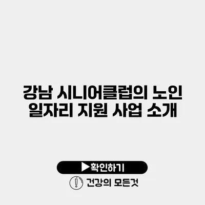 강남 시니어클럽의 노인 일자리 지원 사업 소개