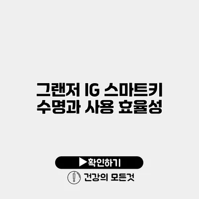 그랜저 IG 스마트키 수명과 사용 효율성