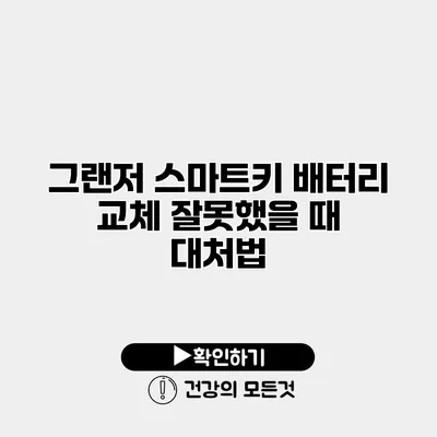 그랜저 스마트키 배터리 교체 잘못했을 때 대처법