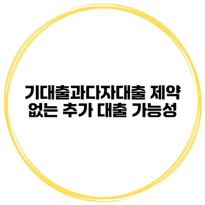 기대출과다자대출 제약 없는 추가 대출 가능성