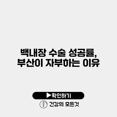 백내장 수술 성공률, 부산이 자부하는 이유