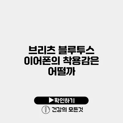 브리츠 블루투스 이어폰의 착용감은 어떨까?