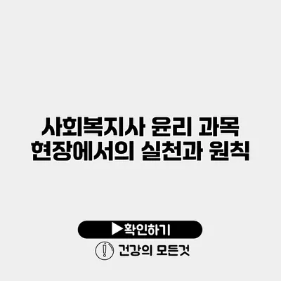 사회복지사 윤리 과목 현장에서의 실천과 원칙
