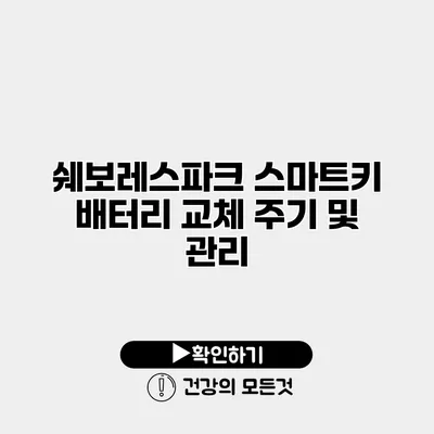 쉐보레스파크 스마트키 배터리 교체 주기 및 관리