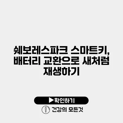 쉐보레스파크 스마트키, 배터리 교환으로 새처럼 재생하기