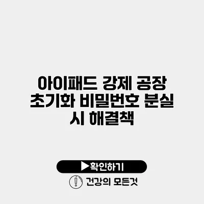 아이패드 강제 공장 초기화 비밀번호 분실 시 해결책