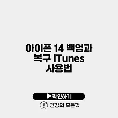 아이폰 14 백업과 복구 iTunes 사용법