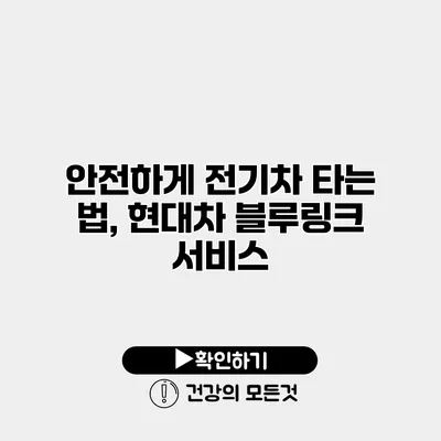 안전하게 전기차 타는 법, 현대차 블루링크 서비스