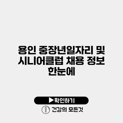 용인 중장년일자리 및 시니어클럽 채용 정보 한눈에